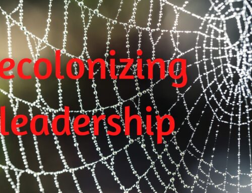 The Public Relations of Racism: Decolonizing Leadership