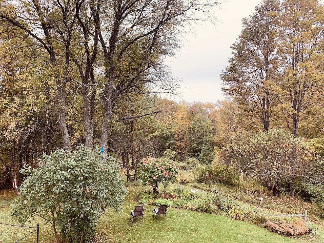 Autumn view of Grandmother Cherry Sanctuary