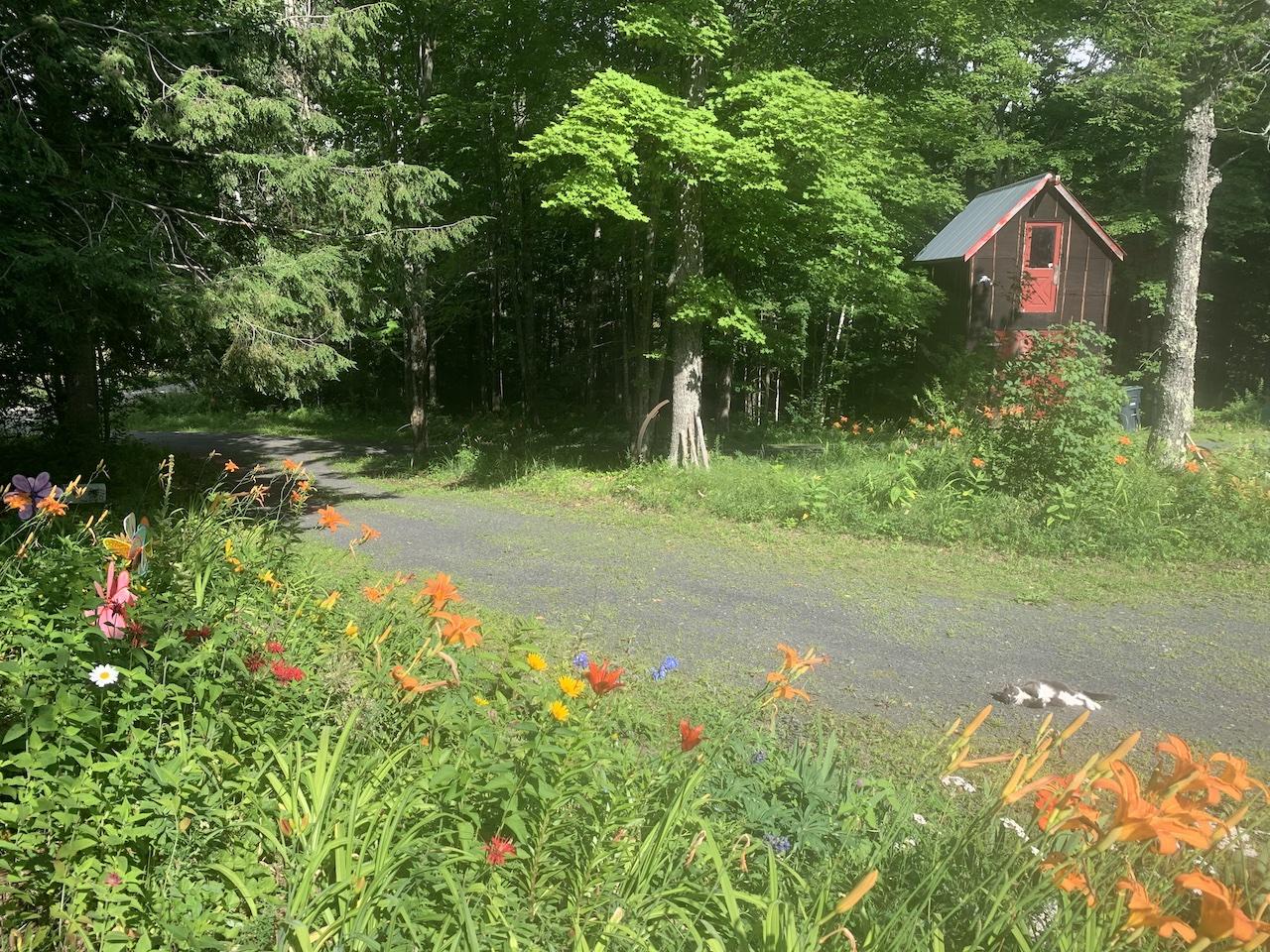 Welcome to a Vermont forest sanctuary