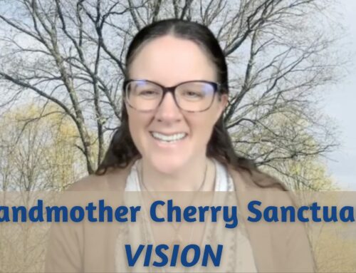 Grandmother Cherry Sanctuary – A Vision for Community Healing
