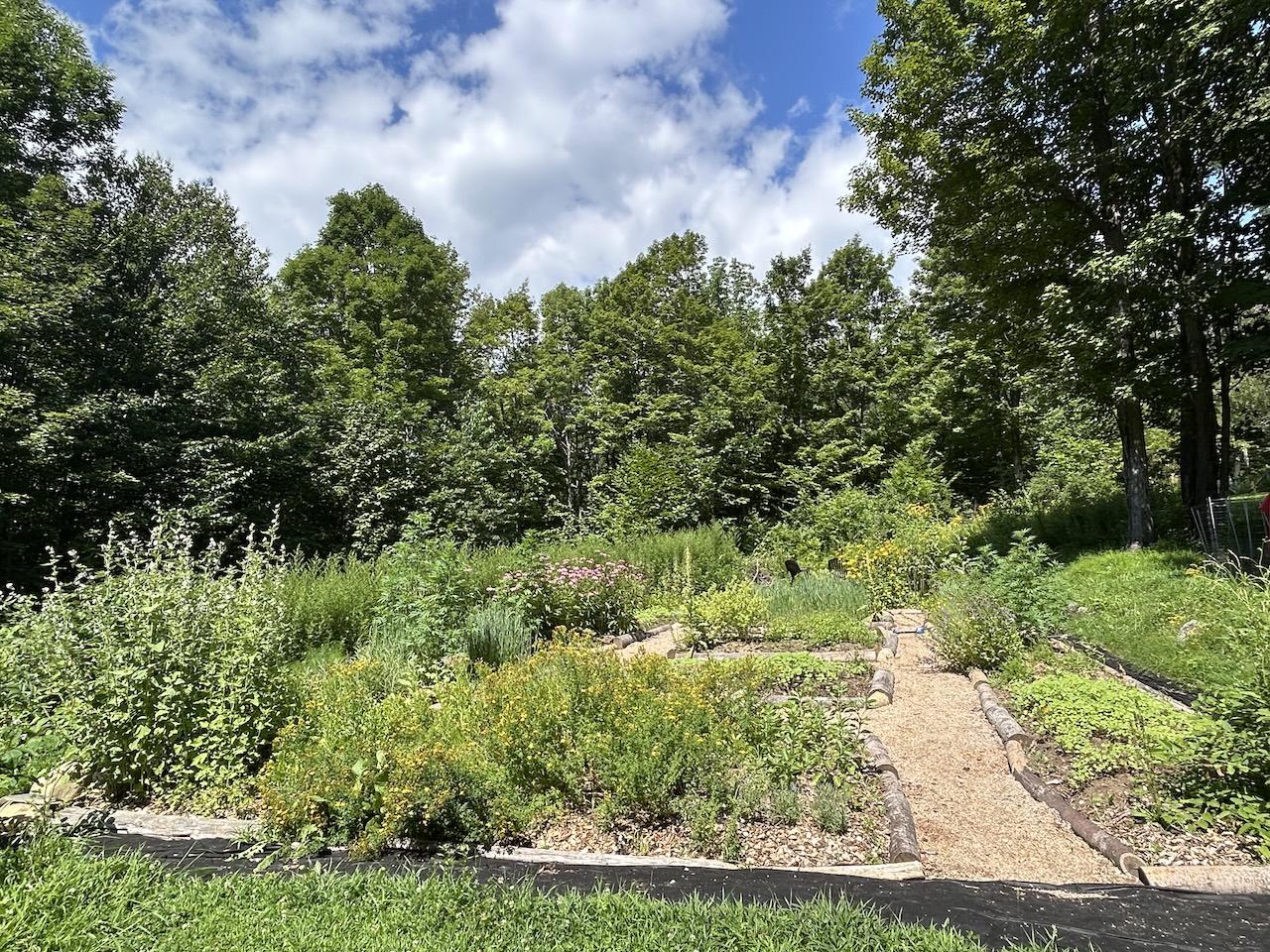 Grandmother Cherry Sanctuary micro herb farm Plainfield Vermont