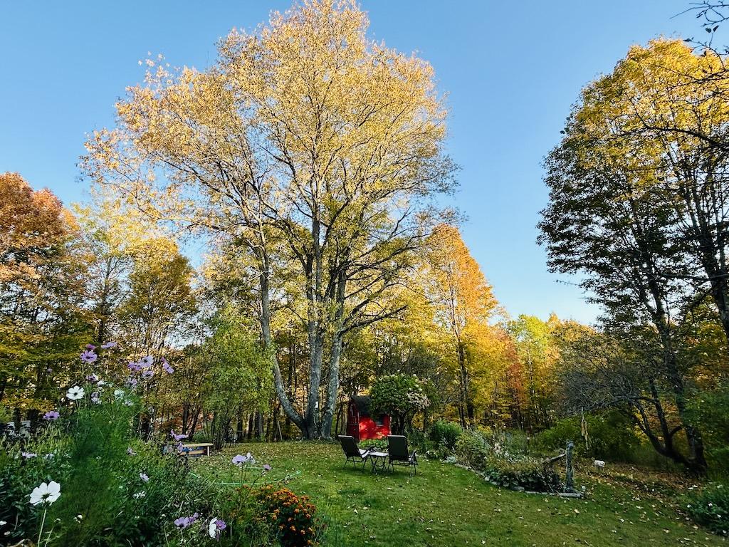 Grandmother Cherry Sanctuary Plainfield Vermont Grandmother Cherry Sanctuary Plainfield Vermont