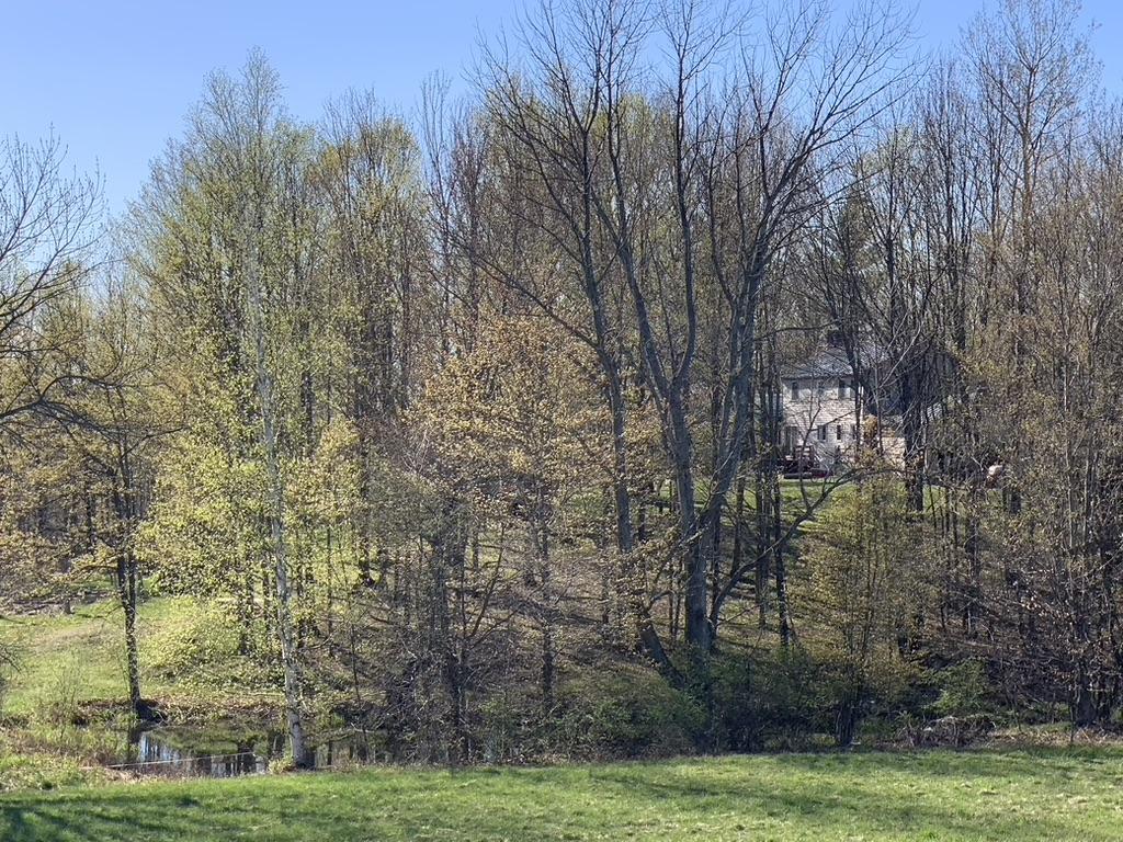 017B4885-82B3-422B-AE85-C7BD08C01F57_1_105_c